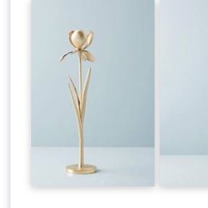 In search of Anthropologie iris taper candlestick
